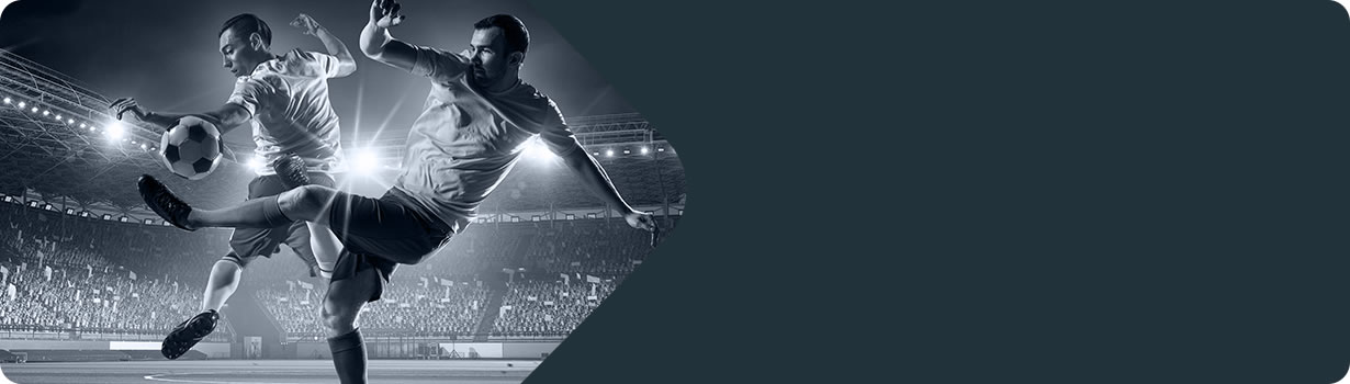 ad free sudoku android
